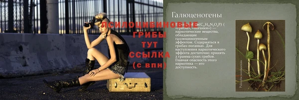 скорость Кукмор