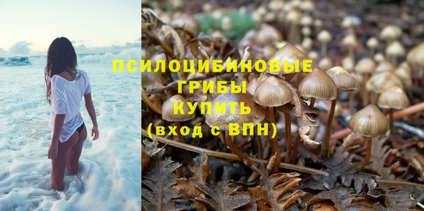 тгк Краснослободск