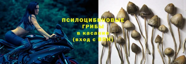 a pvp Красноперекопск