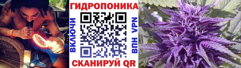 Купить где  Апшеронск  Марихуана сатива 